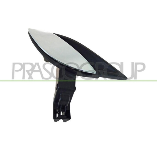 T&uuml;rgriff Innenausstattung Prasco FT5208601 f&uuml;r Fiat Vorne Rechts
