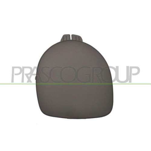 Abdeckung Scheinwerfer Prasco RN3201249 f&uuml;r Renault Vorne Rechts