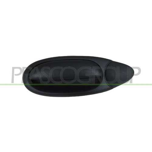 Türaußengriff Prasco FT7158102 für Fiat Außen Hinten Links