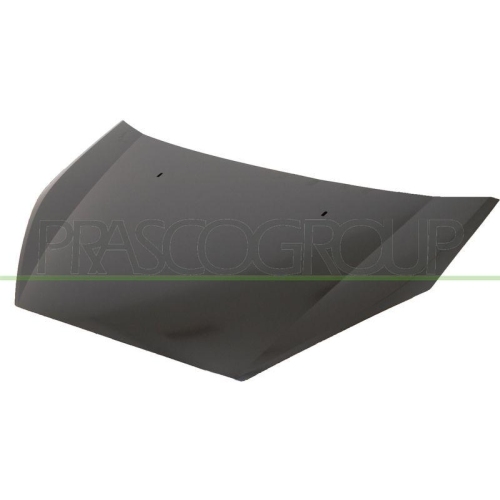 Motorhaube Prasco FD7303100 f&uuml;r Ford