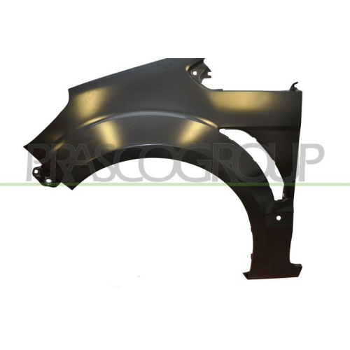 Kotfl&uuml;gel Prasco FD7303004 f&uuml;r Ford Vorne Links