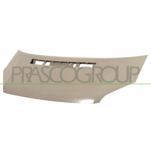 Motorhaube Prasco FD9123100 f&uuml;r Ford