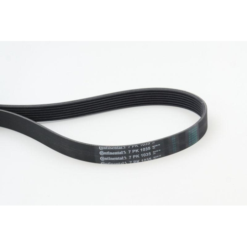 Keilrippenriemen Continental Ctam 7PK1035 f&uuml;r Bmw Nissan Renault Infiniti
