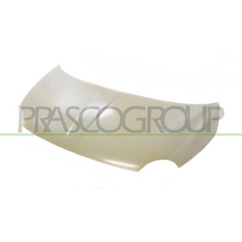 Motorhaube Prasco FT0303120 für Fiat