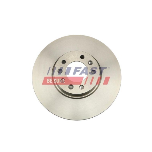 Bremsscheibe Fast FT31147 f&uuml;r Citro&euml;n Fiat Opel Toyota VW General Motors