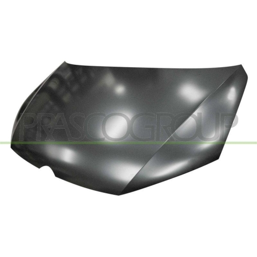 Motorhaube Prasco VG1013100 für VW
