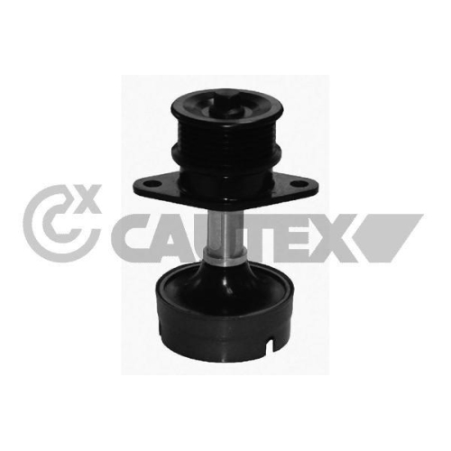 Umlenk /f&uuml;hrungsrolle Keilrippenriemen Cautex 081161 f&uuml;r Ford