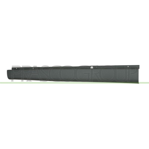 Sto&szlig;f&auml;nger Prasco FD9121062 f&uuml;r Ford Hinten