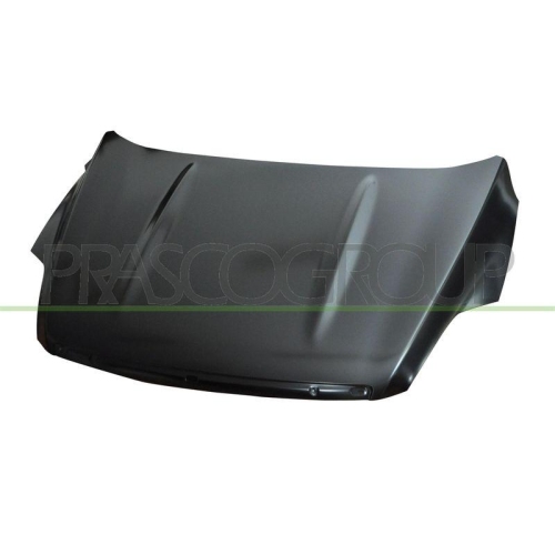 Motorhaube Prasco FD8023100 für Ford