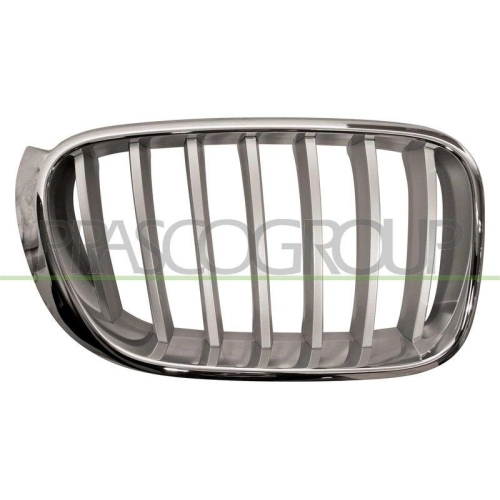 K&uuml;hlergitter Prasco BM8062013 f&uuml;r Bmw Rechts