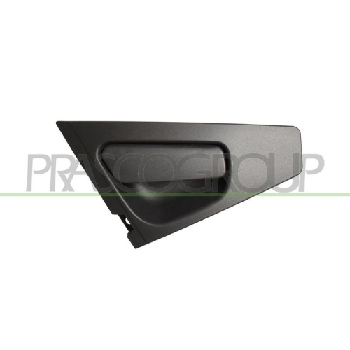 Türaußengriff Prasco RN3298102 für Renault Außen Hinten Links