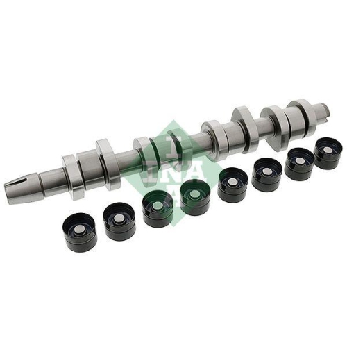 Nockenwellensatz Schaeffler Ina 428 0042 30 f&uuml;r Audi Ford Seat Skoda VW