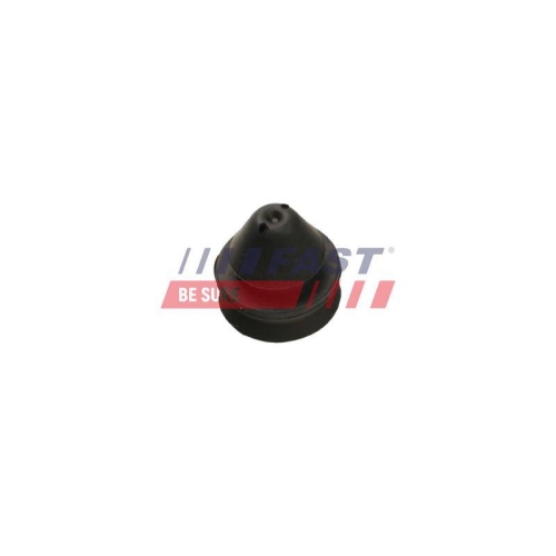 Lagerung K&uuml;hler Fast FT55811 f&uuml;r Citro&euml;n Fiat Opel Oben Unten Vorne