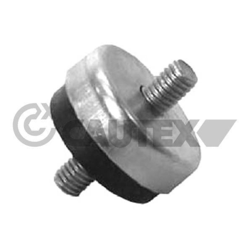 Lagerung K&uuml;hler Cautex 767216 f&uuml;r Audi