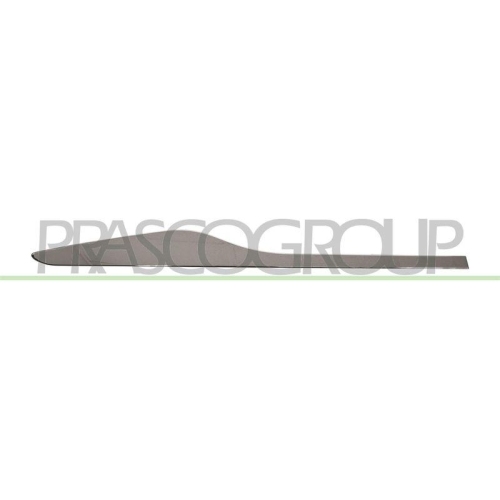 Zier /schutzleiste T&uuml;r Prasco RN3291463 f&uuml;r Renault Hinten Rechts