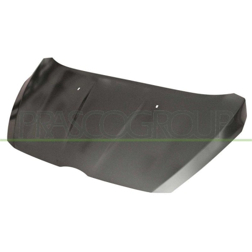 Motorhaube Prasco FD6023100 für Ford
