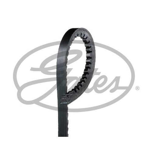 V Belt Gates AVX13x1075HD Fleetrunner™ V-belt for Austin Berliet Buessing Commer