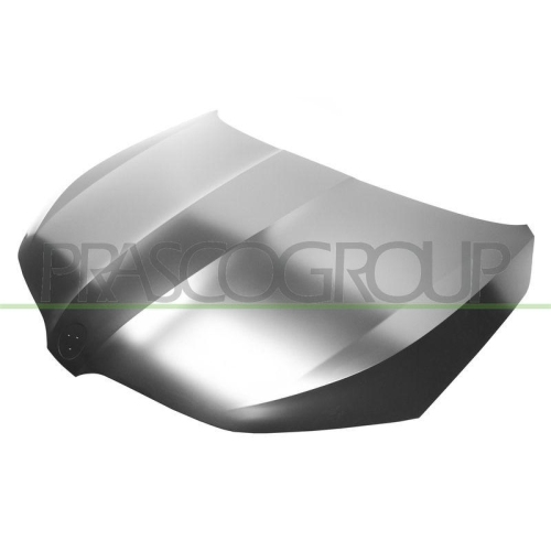 Motorhaube Prasco SK0323100 für Skoda