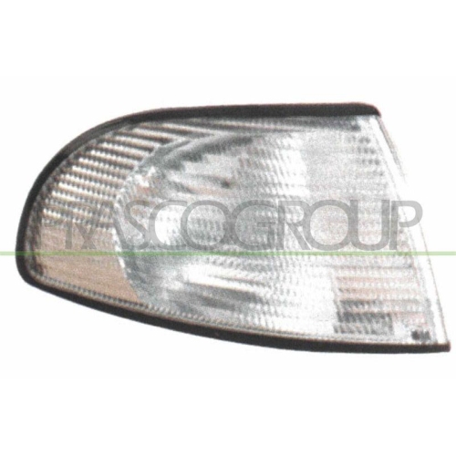 Direction Indicator Prasco AD0174113 for Audi