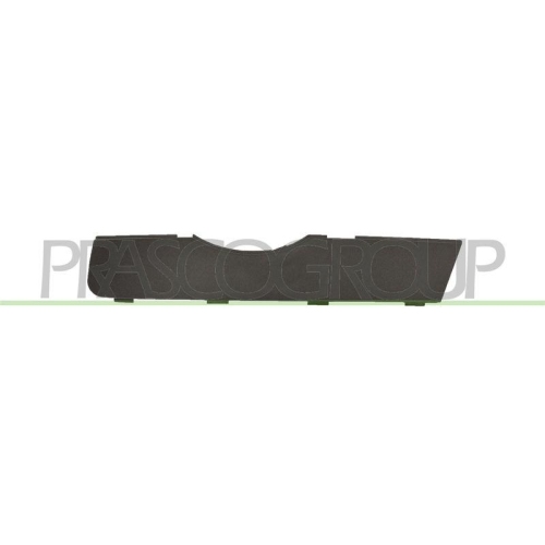 Zier /schutzleiste Kühlergitter Prasco AD8101244 für Audi Vorne Links