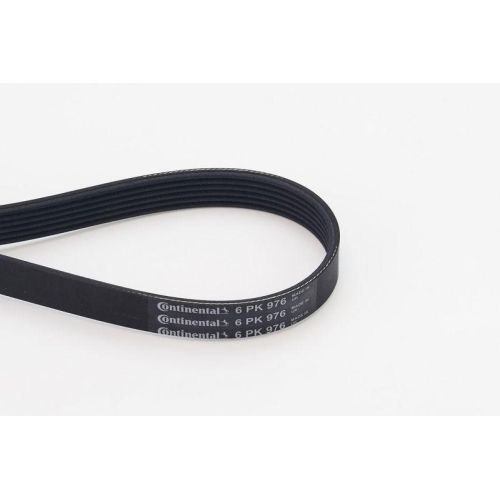 Keilrippenriemen Continental Ctam 6PK976 für Alfa Romeo Citroën Ford Mazda Seat