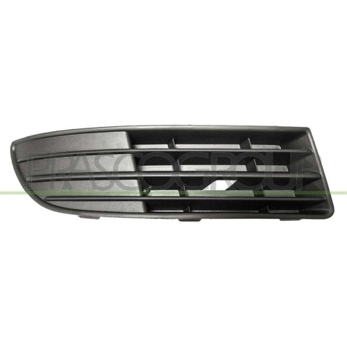 L&uuml;ftungsgitter Sto&szlig;f&auml;nger Prasco VG0222123 Premiumcertified f&uuml;r VW Vorne Rechts
