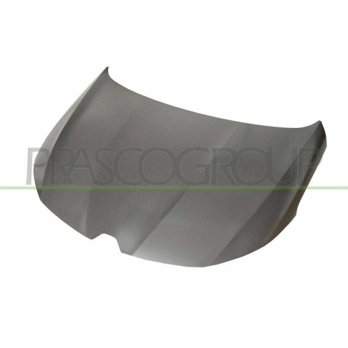 Motorhaube Prasco RN4303100 für Renault