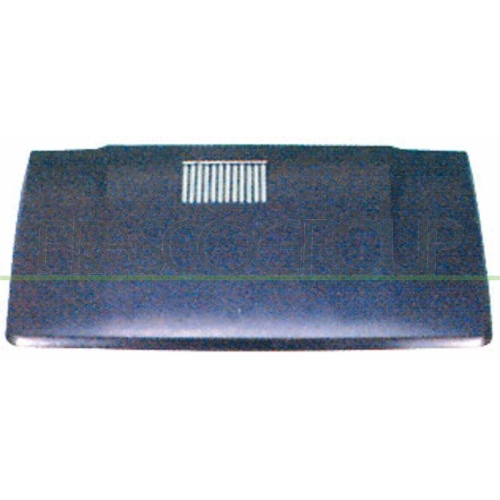 Motorhaube Prasco FT1213100 für Fiat