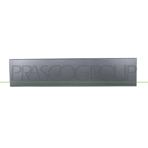 Zier /schutzleiste T&uuml;r Prasco FT9301458 f&uuml;r Citro&euml;n Fiat Peugeot Hinten Links