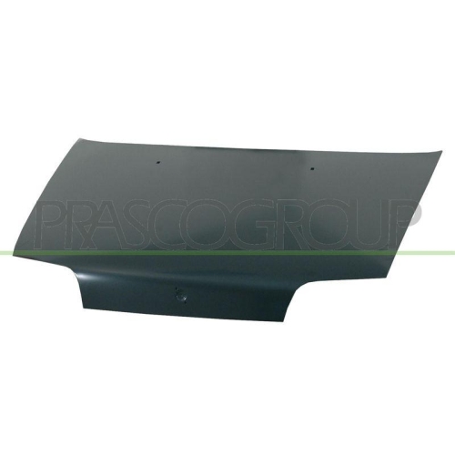Motorhaube Prasco FT1323100 für Fiat