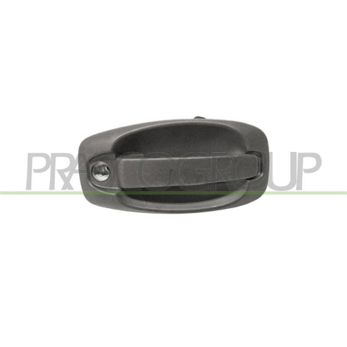Türaußengriff Prasco FT9078341 für Citroën Fiat Peugeot Fahrzeughecktür Außen