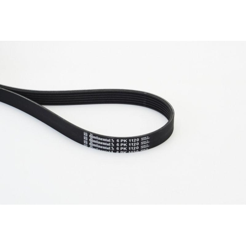 Keilrippenriemen Continental Ctam 6PK1120 f&uuml;r Audi Seat Skoda VW Hyundai Kia Vag