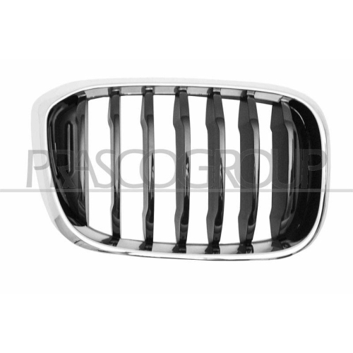 K&uuml;hlergitter Prasco BM8082003 f&uuml;r Bmw Rechts