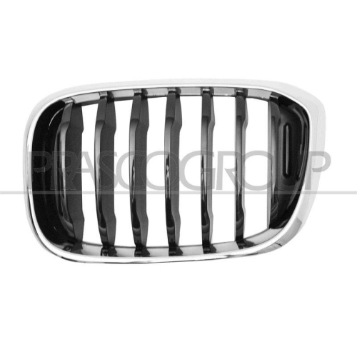 K&uuml;hlergitter Prasco BM8082004 f&uuml;r Bmw Links