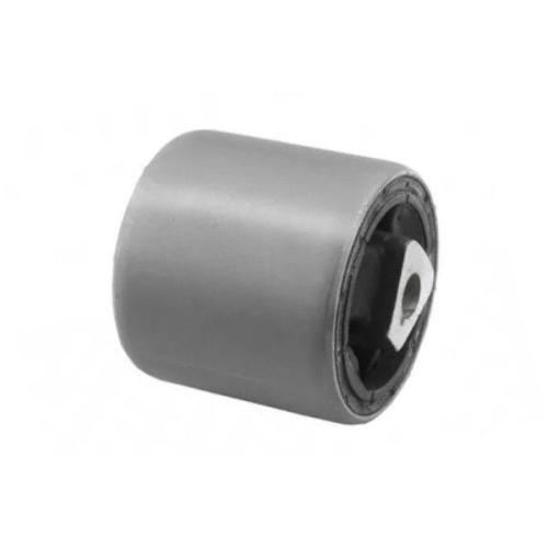 Lagerung Lenker Goom CAS-0064 f&uuml;r Bmw Mini Vorderachse