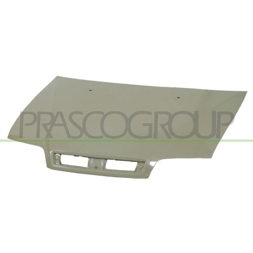 Motorhaube Prasco FT1133110 für Fiat