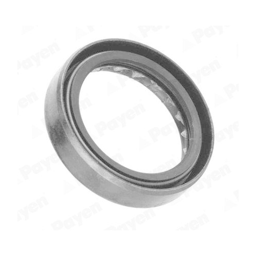 Wellendichtring Schaltgetriebe Payen NJ125 f&uuml;r Nissan Innen