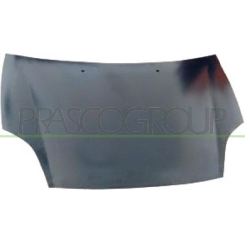 Motorhaube Prasco FT1383100 für Fiat