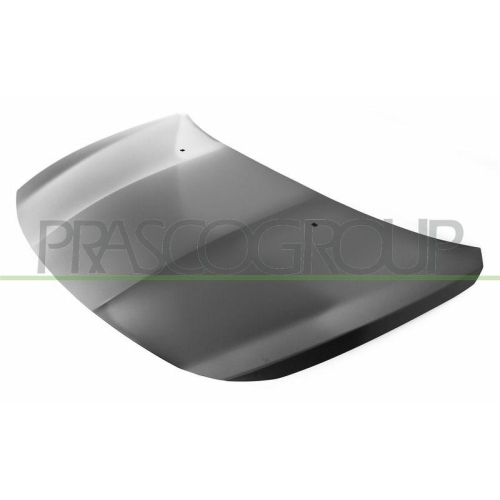 Motorhaube Prasco FT4483100 für Fiat