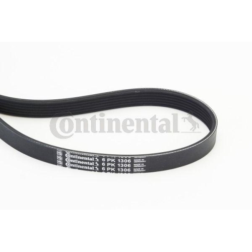 Keilrippenriemen Continental Ctam 6PK1306 f&uuml;r Ford Mazda Nissan Volvo