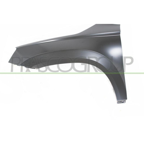 Kotfl&uuml;gel Prasco SK7503004 f&uuml;r Skoda Vorne Links