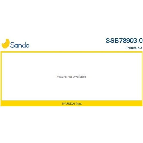 Lenkgetriebe Sando SSB78903.0 f&uuml;r Kia