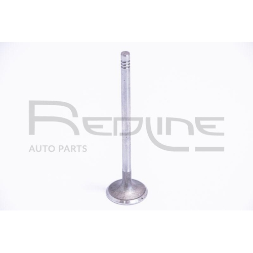 Auslassventil Red-line 15DR004 für