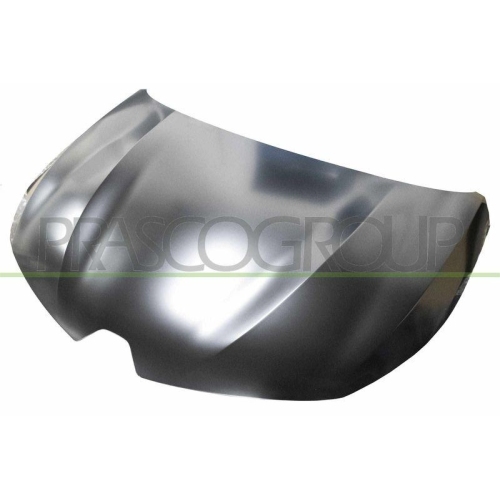 Motorhaube Prasco RN3323110 für Renault
