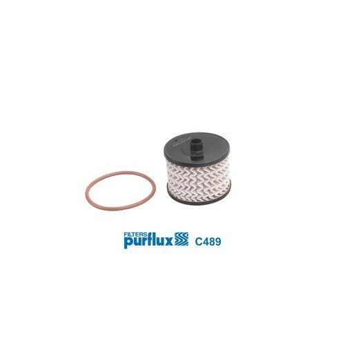 Kraftstofffilter Purflux C489 für Citroën Fiat Ford Lancia Peugeot Volvo AC