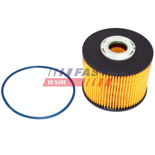 Kraftstofffilter Fast FT39077 f&uuml;r Citro&euml;n Peugeot Ford Fiat Toyota