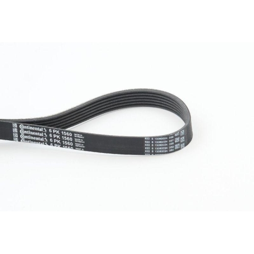 Keilrippenriemen Continental Ctam 6PK1560 f&uuml;r Bmw Citro&euml;n Ford MG Peugeot Rover