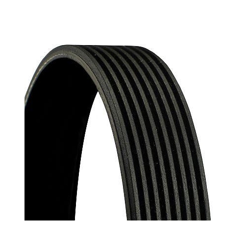 V Ribbed Belt Continental Ctam 8PK1538 for Volvo