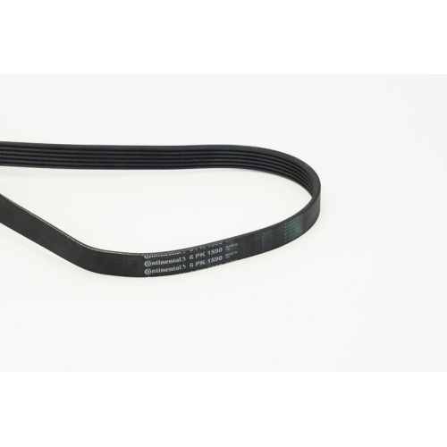 Keilrippenriemen Continental Ctam 6PK1590 f&uuml;r Audi Citro&euml;n Fiat Ford Lancia Opel