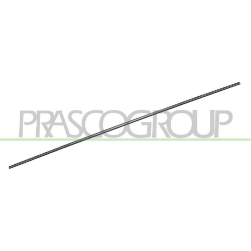 Einstiegsleiste Prasco MN3021403 für Mini
